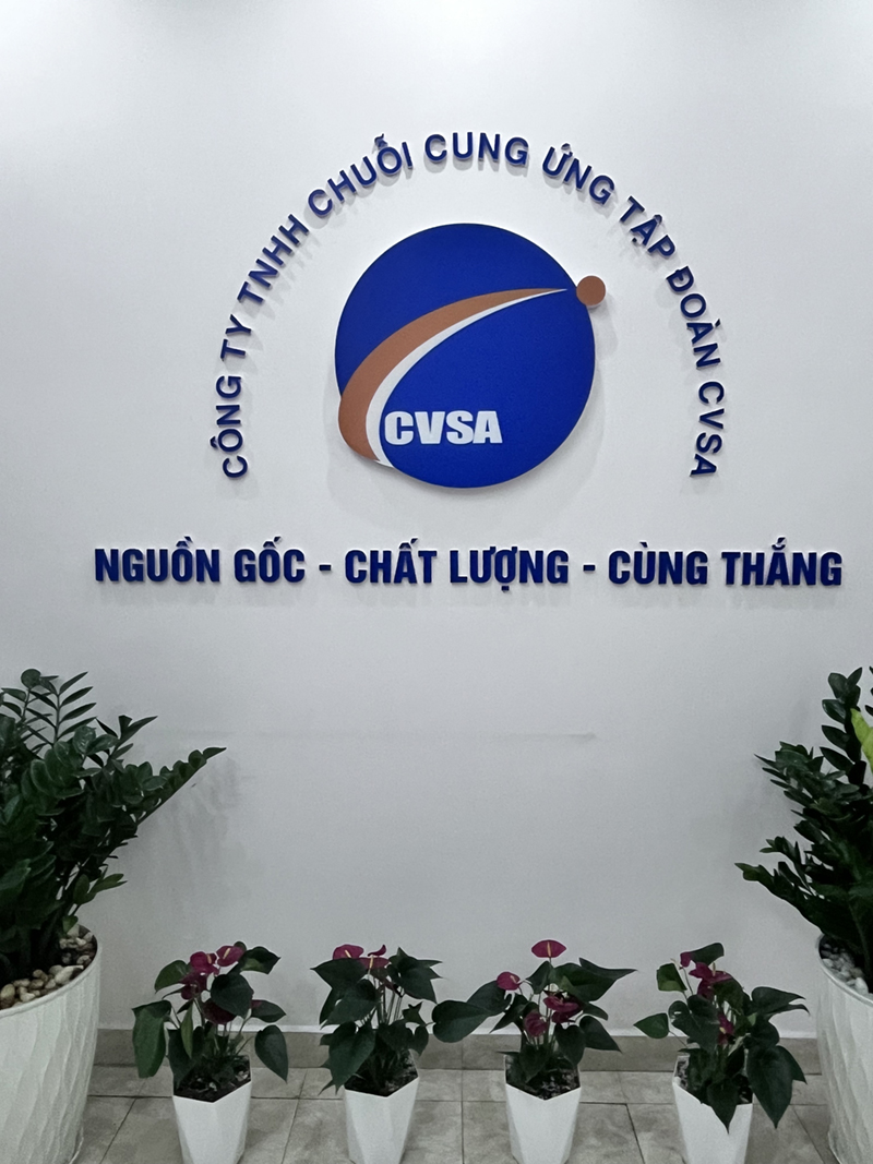 CVSA Group Viet Nam